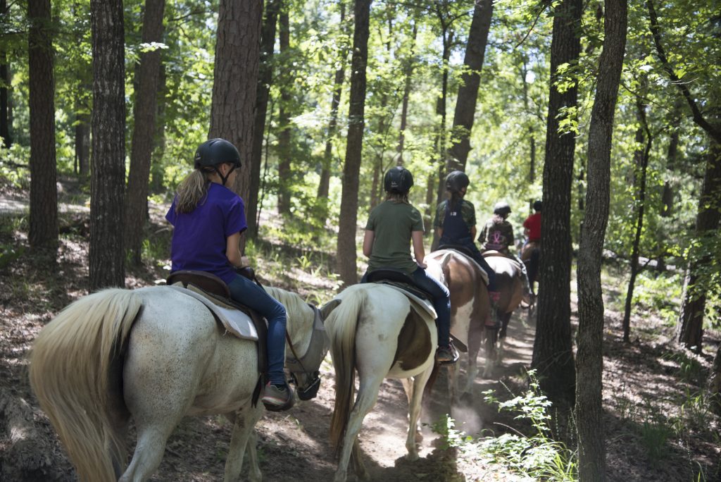 Horse Riding